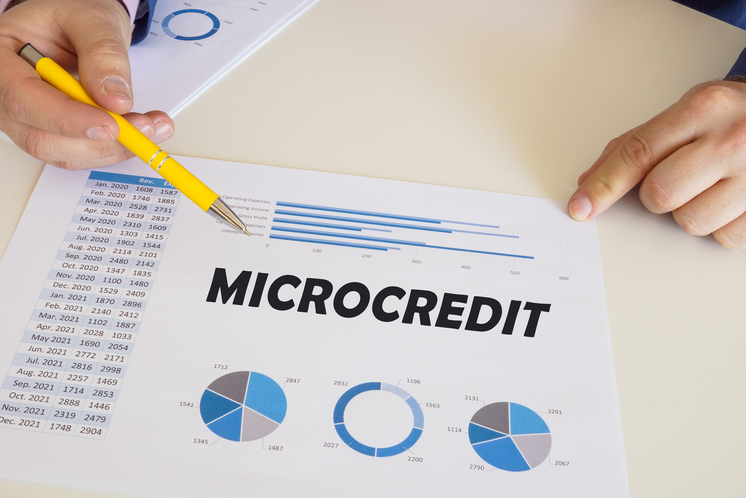 micro credit conseils et placements